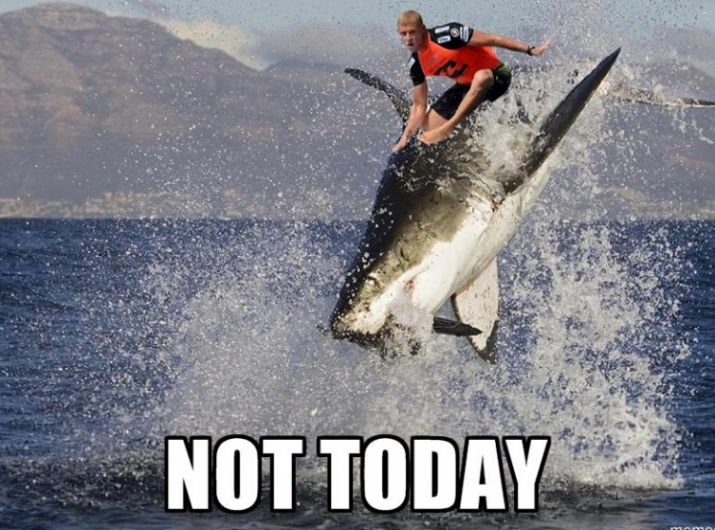 Not today shark meme